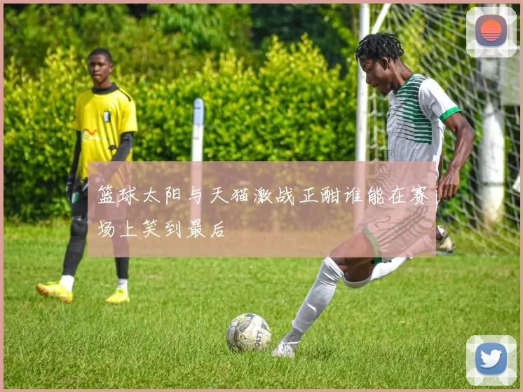 篮球太阳与天猫激战正酣谁能在赛场上笑到最后