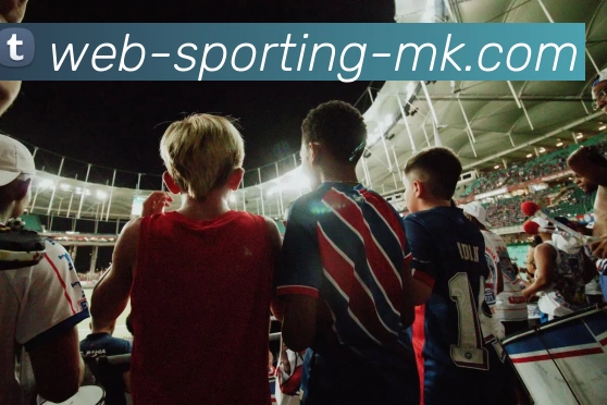 MK体育平台生态图